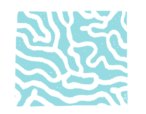 Motifs sinueux de corail